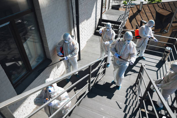 Reliable Caruthersville, MO Mold Removal Solutions